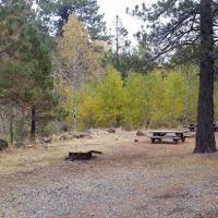 Deep Creek Forest Camp ico