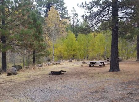 Deep Creek Forest Camp
