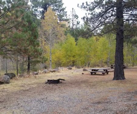 Deep Creek Forest Camp