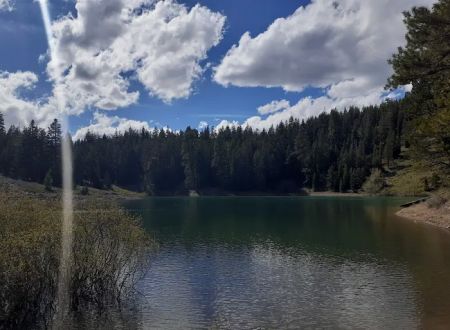 Cave Lake Campground