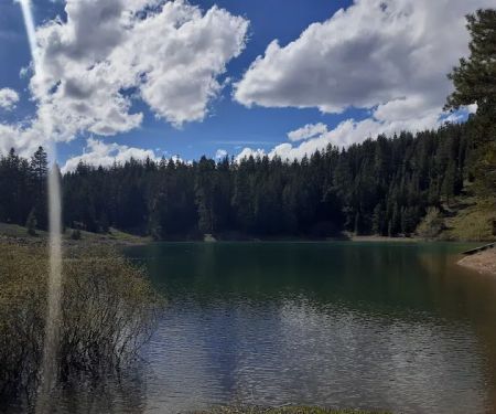 Cave Lake Campground