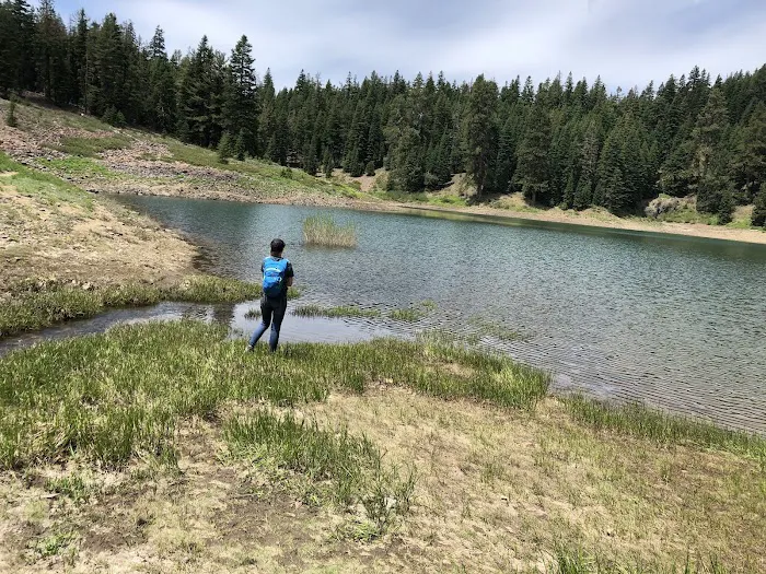 Cave Lake Campground Picture 10