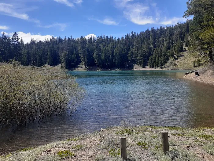 Cave Lake Campground Picture 5