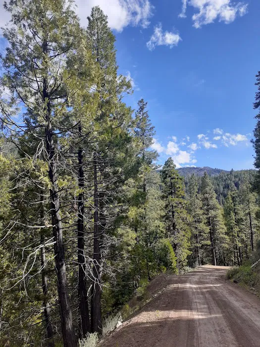 Cave Lake Campground Picture 4