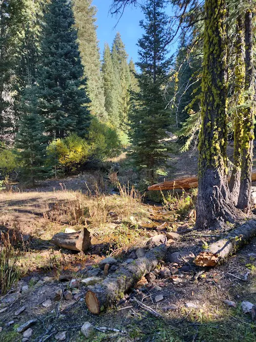 Cave Lake Campground Picture 8