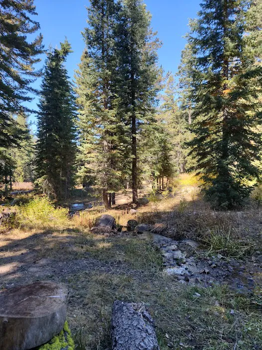 Cave Lake Campground Picture 7