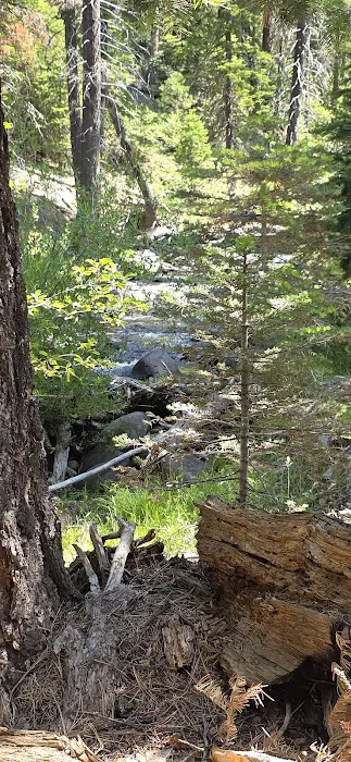 Larry Flat Campground Picture 5