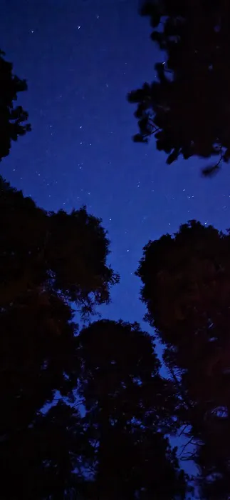 Larry Flat Campground Picture 1