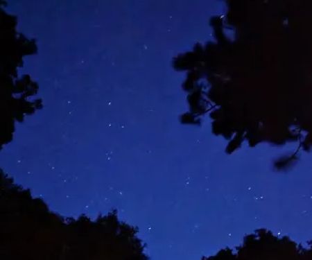 Larry Flat Campground