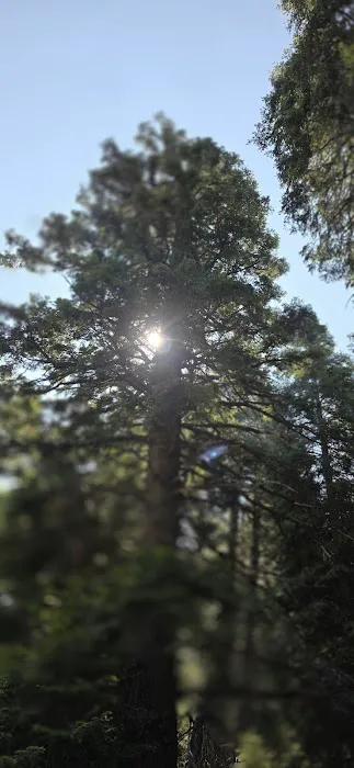 Larry Flat Campground Picture 4