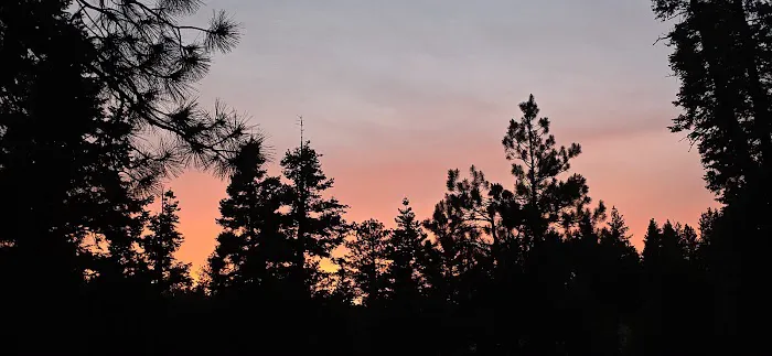 Larry Flat Campground Picture 2