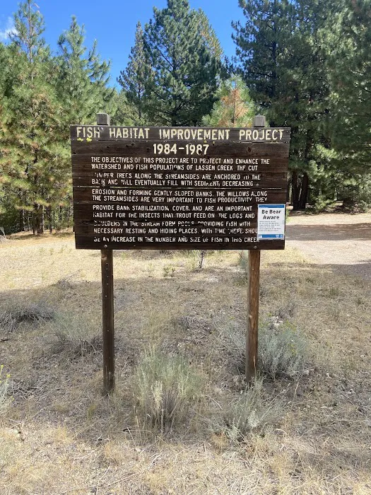 Lassen Creek Campground Picture 1