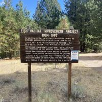 Lassen Creek Campground ico