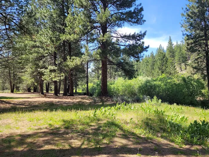 Lassen Creek Campground Picture 3
