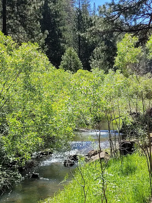 Lassen Creek Campground Picture 7