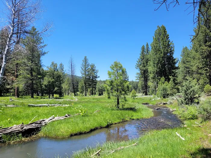Lassen Creek Campground Picture 6