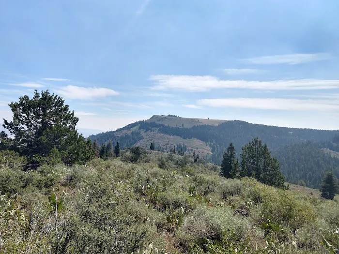 Lassen Creek Campground Picture 9