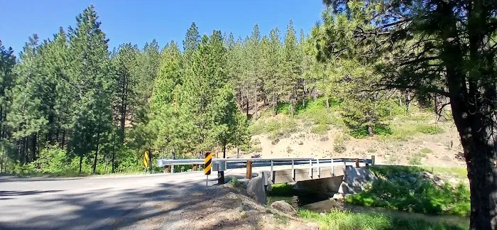 Lassen Creek Campground Picture 10