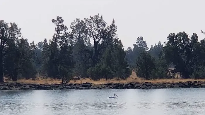 Reservoir C Campground Picture 6