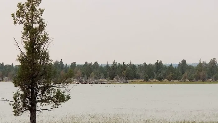 Reservoir C Campground Picture 1