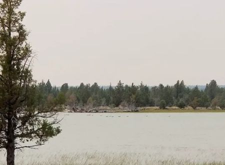 Reservoir C Campground