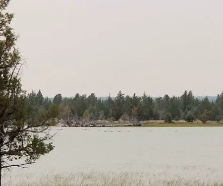 Reservoir C Campground