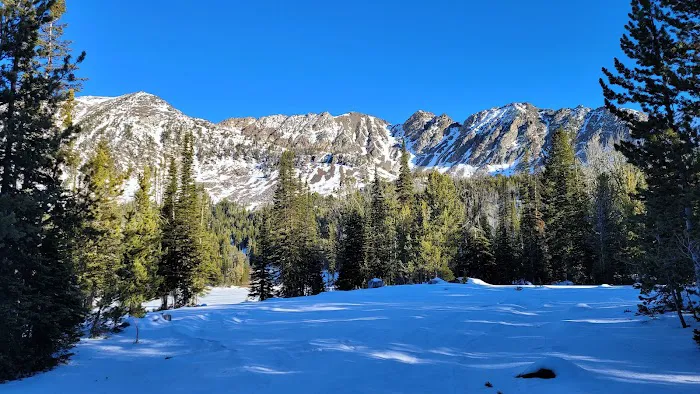 Branham Lakes Campground and Picnic Area Picture 9