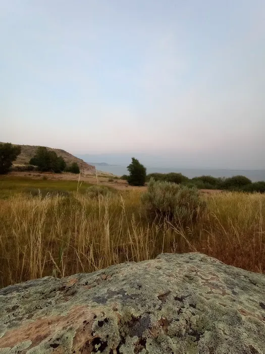 Cameahwait Campground Picture 5