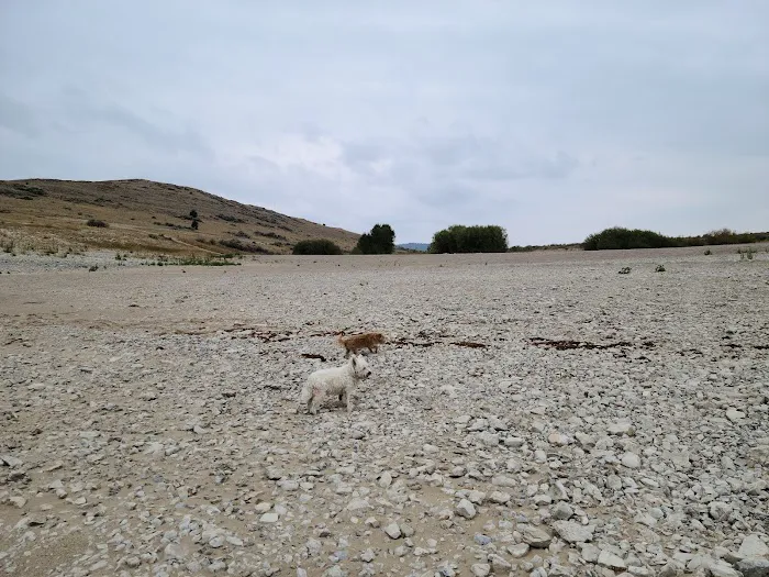 Horse Prairie Campground Picture 7