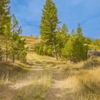 The Homestead ico