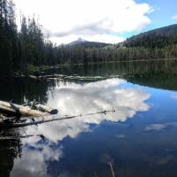 Potosi Campground and Picnic Area ico