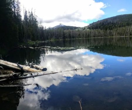 Potosi Campground and Picnic Area