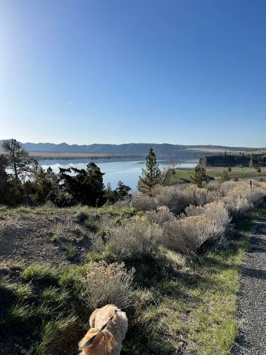 Grey Sandy Campground & Store Picture 2