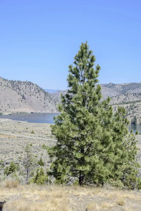 Devils Elbow Campground - U.S. Bureau of Land Management Picture 9