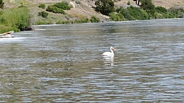 Riverside Campground Picture 9