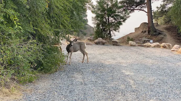 Chinaman Gulch Picture 2