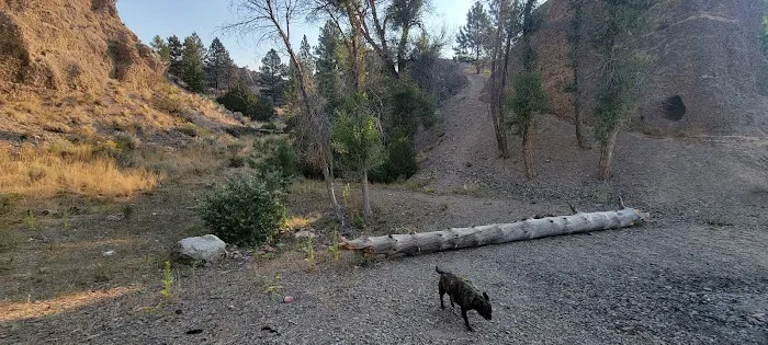 Chinaman Cove Campground Picture 6