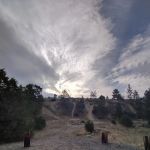 Chinaman Cove Campground