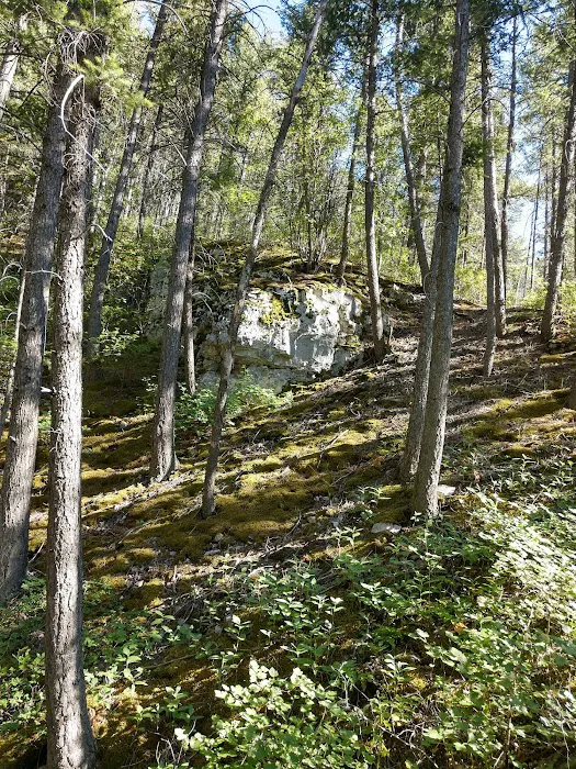 Coulter Campground Picture 6