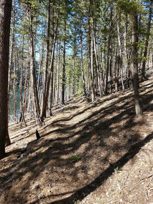 Coulter Campground Picture 7
