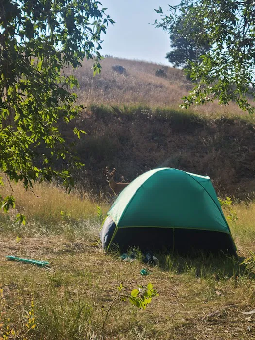 Hellgate Campground Picture 7