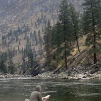 Otter Bar ico
