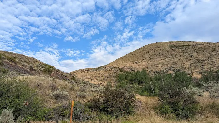 Agency Creek Campground Picture 3
