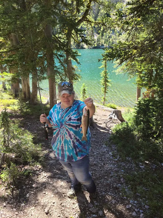 Iron Lake Campground Picture 4