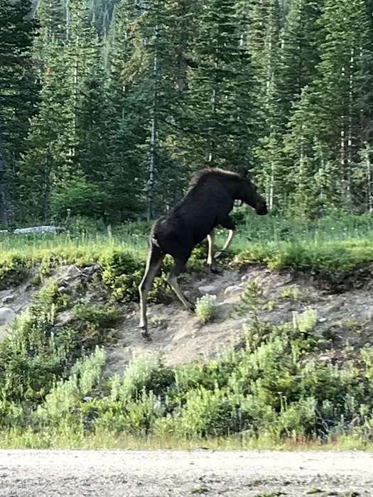 Crags Campground Complex Picture 3