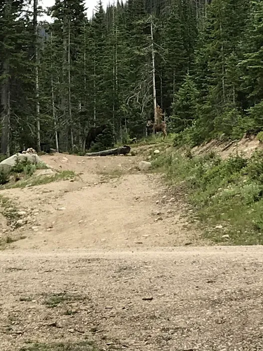 Crags Campground Complex Picture 4