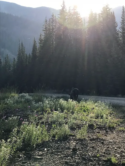 Crags Campground Complex Picture 9
