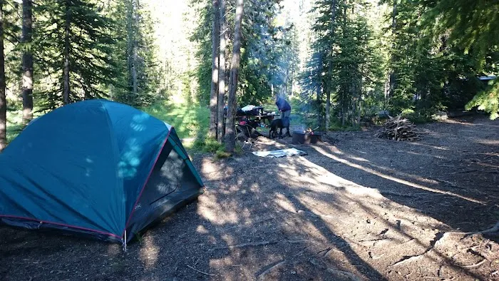Yellowjacket Lake Campground Picture 8