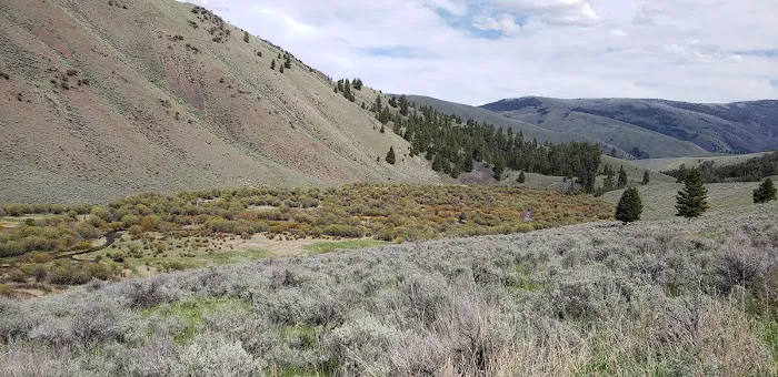 Bear Valley Horse Camp Picture 1