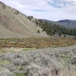 Bear Valley Horse Camp